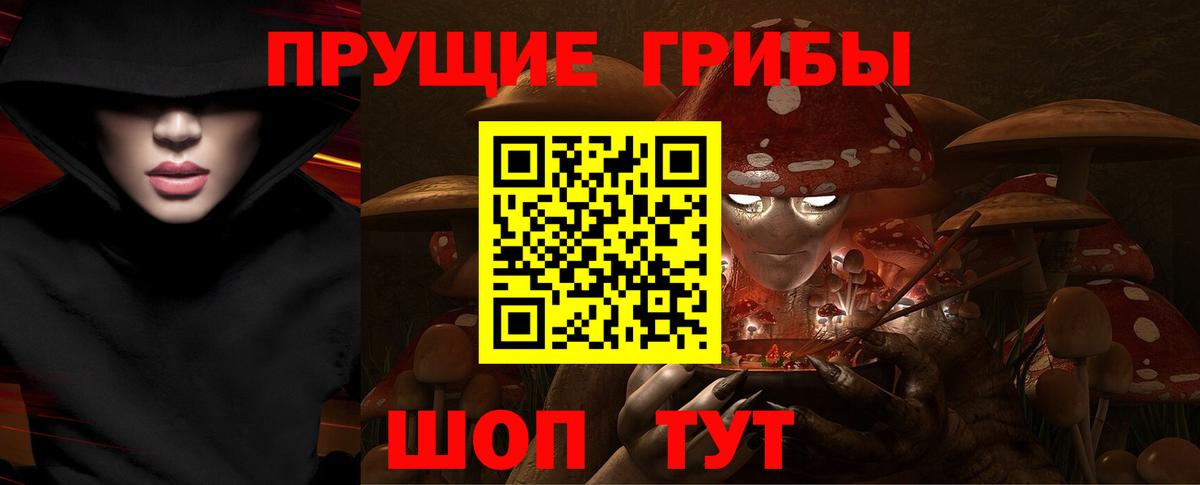 Галлюциногенные грибы ЛСД  Вход с VPN  Новочебоксарск  что такое   Галлюциногенные грибы прущие грибы 